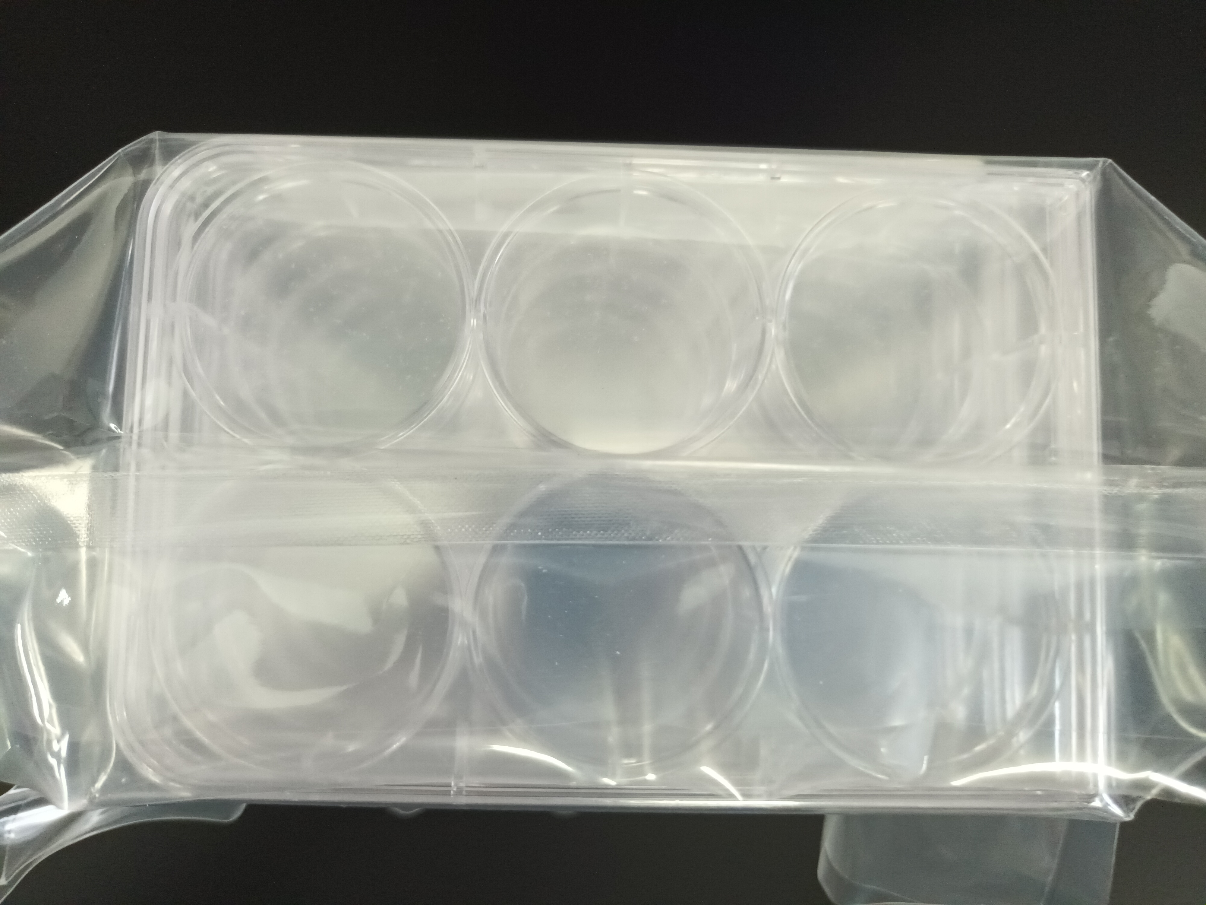 Corning  6-well Culture plate
